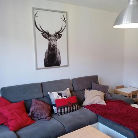 Apartmán La Cahutte Du Tisseur, Hyper Centre Gérardmer Exteriér fotografie