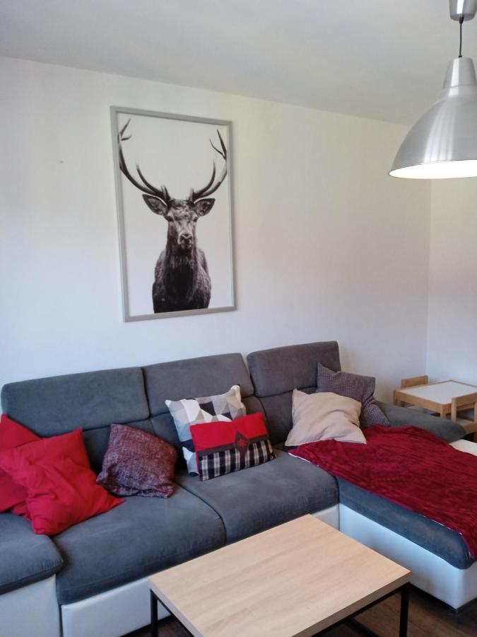 Apartmán La Cahutte Du Tisseur, Hyper Centre Gérardmer Exteriér fotografie